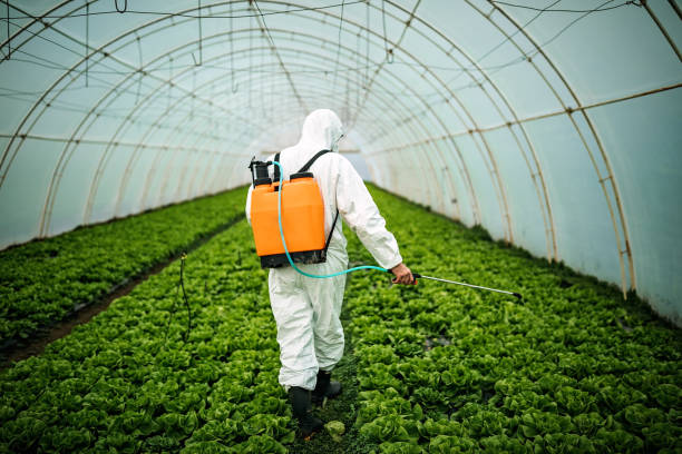 Best Local Pest Control Services  in Perkins, OK