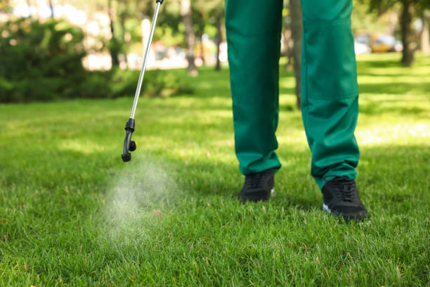 Best Pest Control Near Me  in Perkins, OK