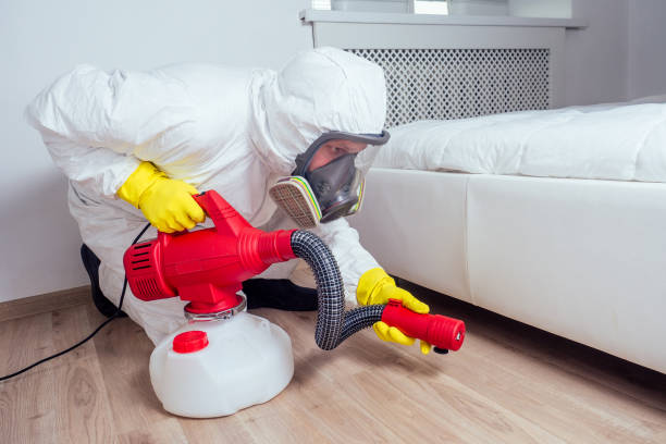 Reliable Perkins, OK Pest Control Solutions