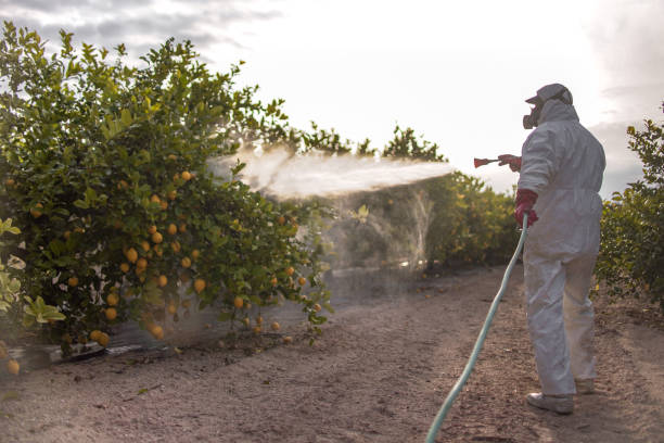 Best Affordable Pest Control Services  in Perkins, OK