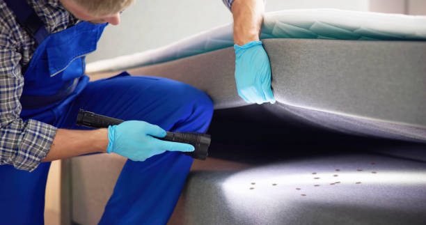 Best Pest Removal Services  in Perkins, OK