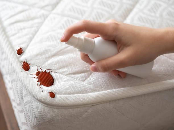 Best Residential Pest Control  in Perkins, OK