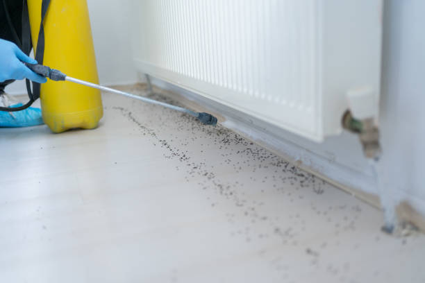 Pest Control Cost in Perkins, OK