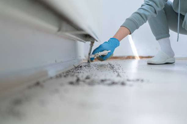 Best Bed Bug Extermination  in Perkins, OK